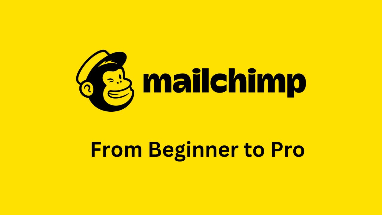 Mailchimp Made Easy: From Beginner to Pro